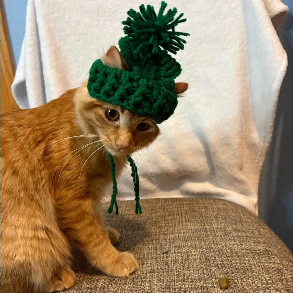 Green Cat Hat stocking hat